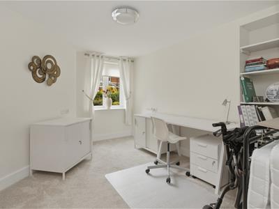 Picture 8